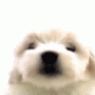 gsdrusx1