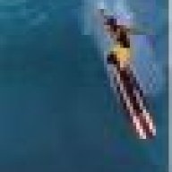 longbich