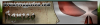 firma_figu120_1.png
