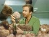 tribbles2.jpg