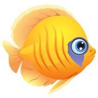 cichlid2