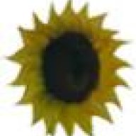 Sunflower-Products