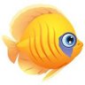 cichlid2