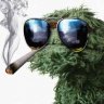 Old Grouch