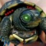 techturtle