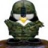 gus_lince7791