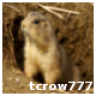 tcrow777
