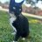 Little_Timmy