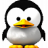 Penguin129